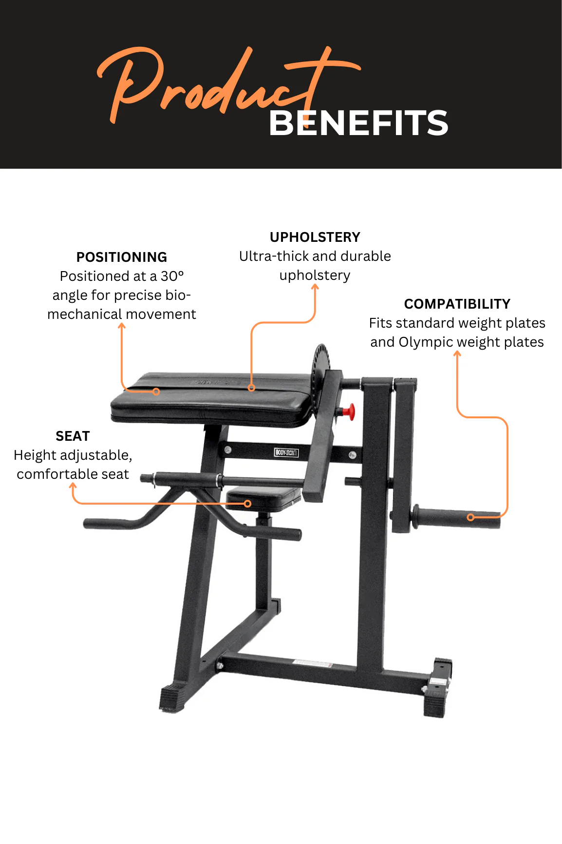 BodyIron® Bicep Curl & Triceps Extension - Image 3
