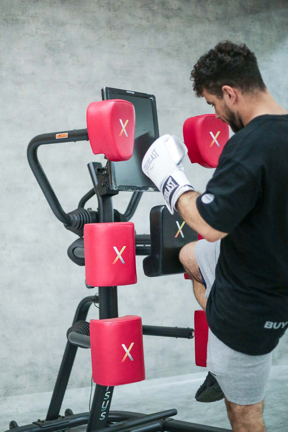 Nexersys Home Boxing System - Image 6