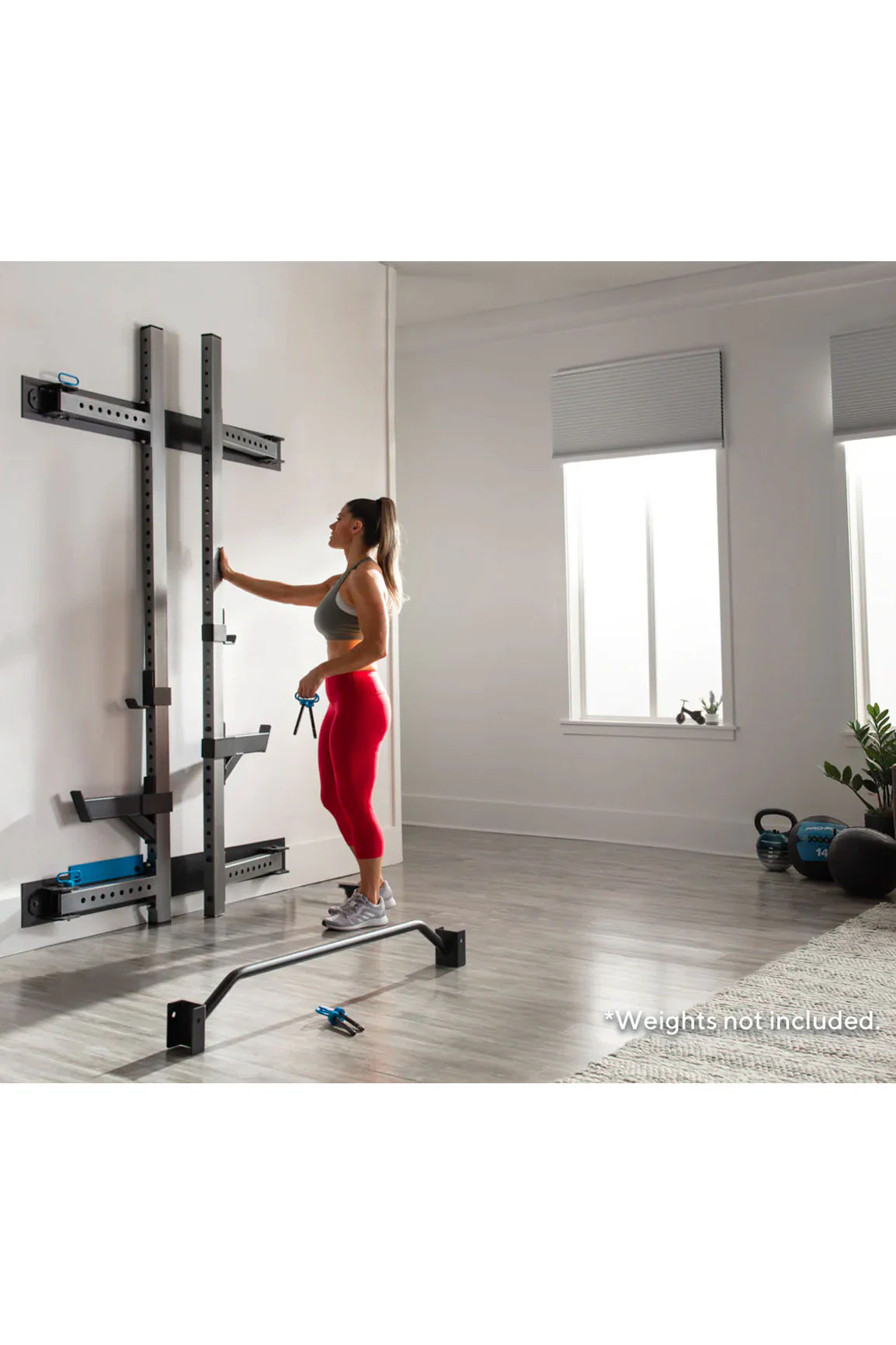 ProForm Carbon Strength Foldable Wall Squat Rack - Image 7